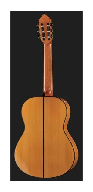 Alhambra 10 Fc Flamenco incl. Case, paletta a finestre e meccaniche, scatto 3