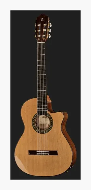 Alhambra 5 P CW E8 w/Gig Bag, fondo e fasce, scatto 2