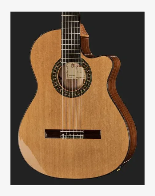 Alhambra 5 P CW E8 w/Gig Bag, paletta a finestre e meccaniche, scatto 4