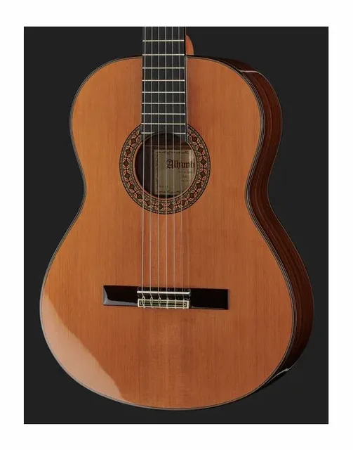 Alhambra 8P w/Case, buca e rosetta, scatto 4