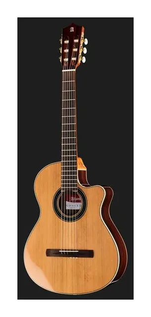 Alhambra CS-LR CW E1 incl. Gig Bag, ponte e cordiera, scatto 2
