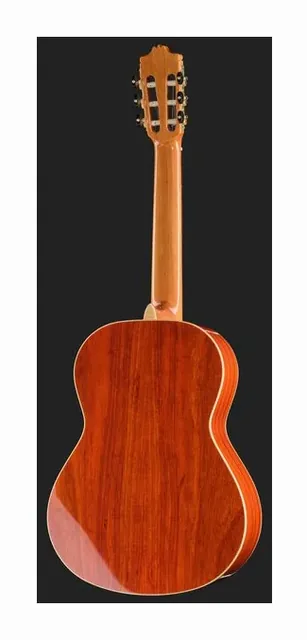 Alhambra Green Sustain Classical w/GBag, fondo e fasce, scatto 3