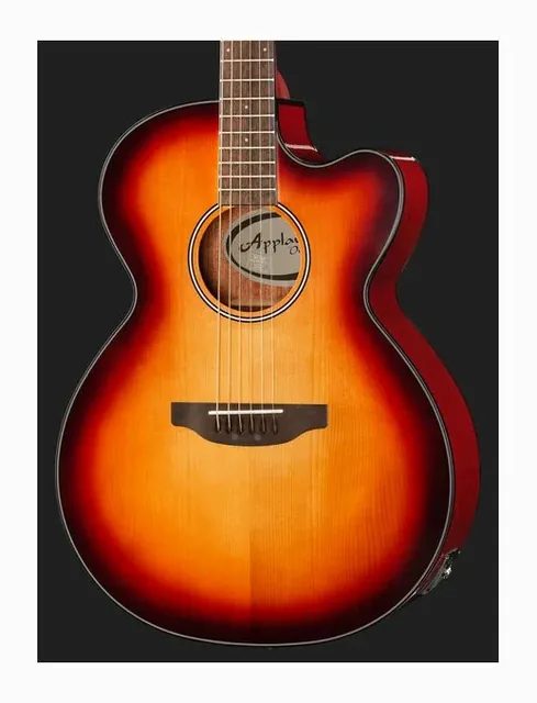 Applause AEJ96-1 Jumbo Cut Electro, cassa vista di fronte, scatto 4