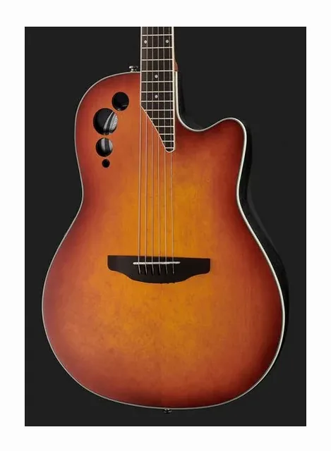 Applause Elite AE48-1, cassa vista di fronte, scatto 4