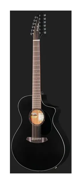 Breedlove Discovery S CN SAT. BLK DBL12, fondo e fasce, scatto 2