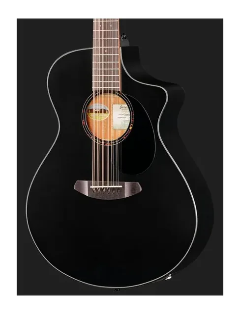 Breedlove Discovery S CN SAT. BLK DBL12, buca e rosetta, scatto 4
