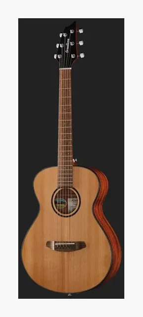 Breedlove Discovery S Companion, cassa vista di fronte, scatto 2