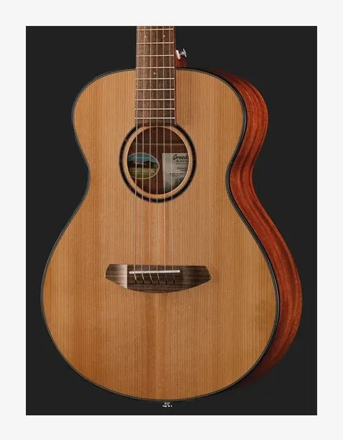 Breedlove Discovery S Companion, paletta e meccaniche, scatto 4