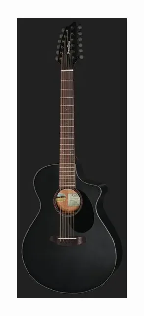 Breedlove Discovery S Conc 12-St CE BS, tastiera e capotasto, scatto 2
