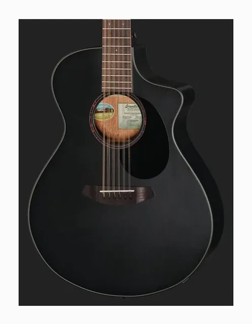 Breedlove Discovery S Conc 12-St CE BS, tastiera e capotasto, scatto 4
