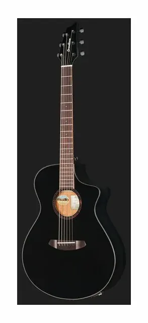 Breedlove Discovery S Concert CE BS, fondo e fasce, scatto 2