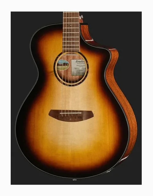 Breedlove Discovery S Concert ED CE, paletta e meccaniche, scatto 4