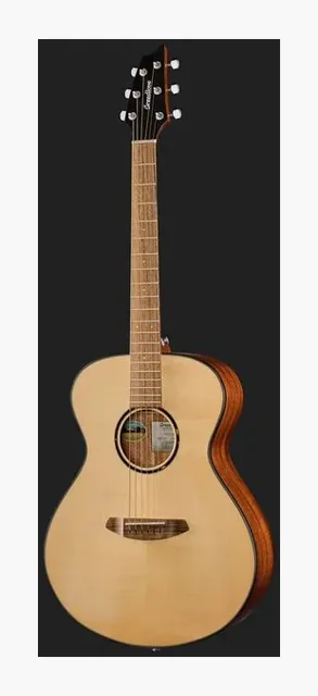 Breedlove Discovery S Concert, paletta e meccaniche, scatto 2