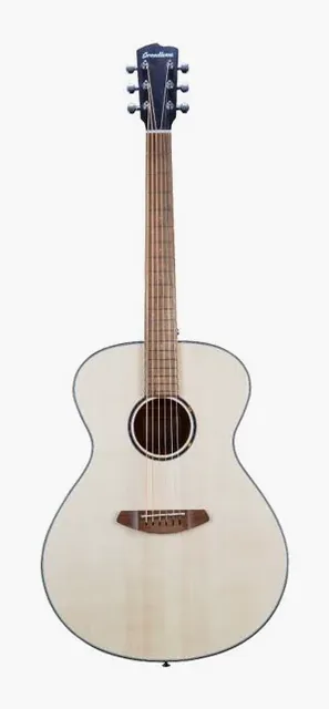 Breedlove Discovery S Dreadnought Spruce vista di fronte