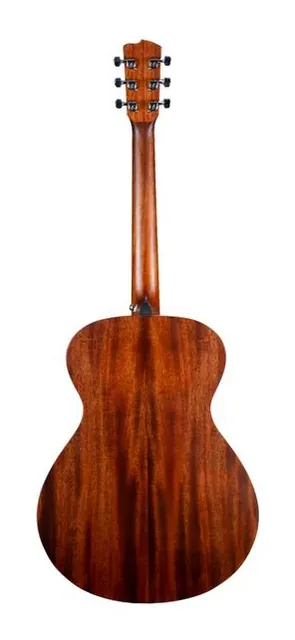 Breedlove Discovery S Dreadnought Spruce, tastiera e capotasto, scatto 2