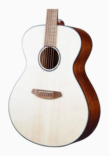 Breedlove Discovery S Dreadnought Spruce, buca e rosetta, scatto 3