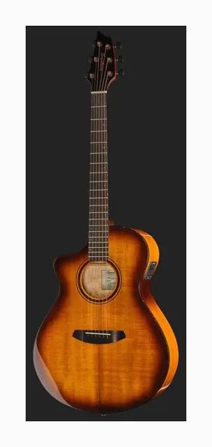 Breedlove Pursuit EX S Concert TE LH CE, paletta e meccaniche, scatto 2