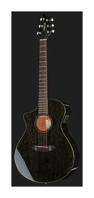 Breedlove Rainforest S Concert BG LH CE, buca e rosetta, scatto 2