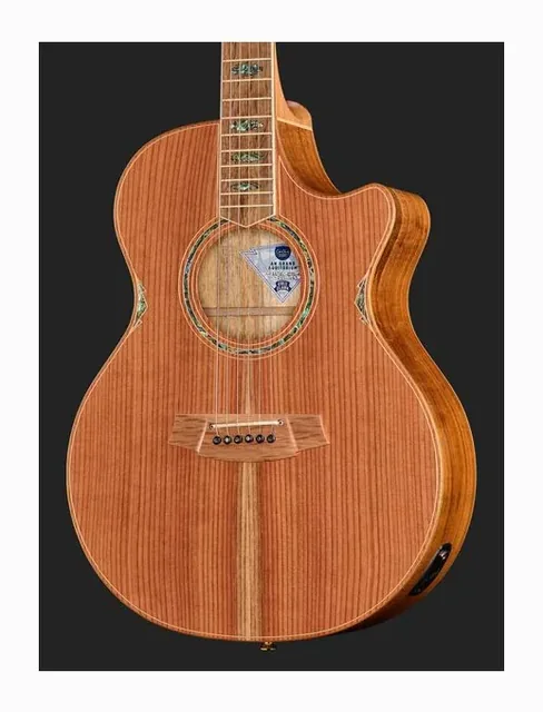 Cole Clark AN3EC-RDBL-AE, tastiera e capotasto, scatto 4