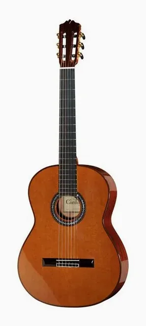 Cordoba C9 Cedar di fronte su sfondo neutro