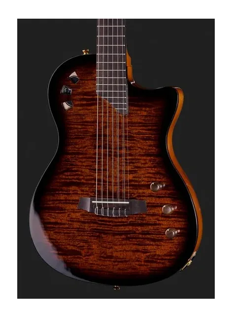 Cordoba Stage Guitar Edge Burst w/Bag, paletta a finestre e meccaniche, scatto 4
