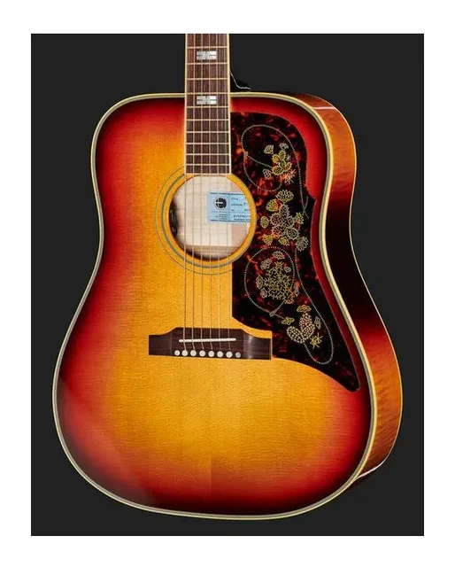 Epiphone Frontier USA Frontier Burst, buca e rosetta, scatto 4