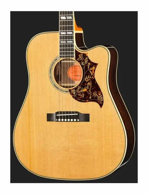 Epiphone Hummingbird Deluxe EC NA IBC, buca e rosetta, scatto 4