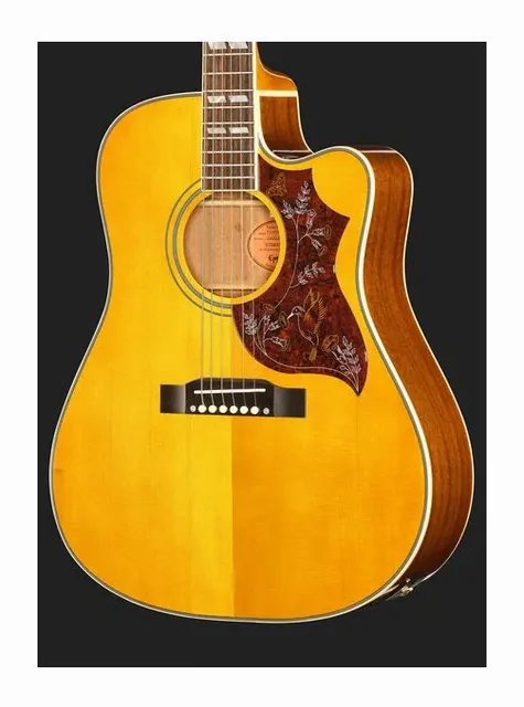 Epiphone Hummingbird Standard EC N, buca e rosetta, scatto 4