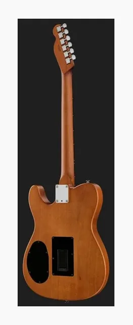 Fender Acoustasonic Standard Tele AGN, fondo e fasce, scatto 3