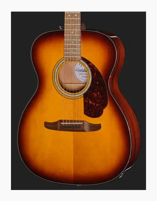 Fender CA DLX Monterey E HSB, cassa vista di fronte, scatto 4