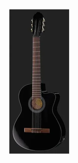 Gewa Student Black 4/4 E-Acoustic, buca e rosetta, scatto 2
