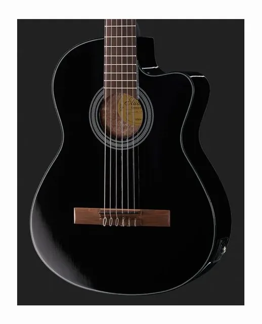 Gewa Student Black 4/4 E-Acoustic, buca e rosetta, scatto 4