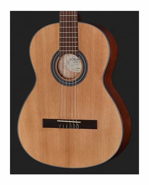 Gewa Student Natural Cedar 4/4 LH, cassa vista di fronte, scatto 4