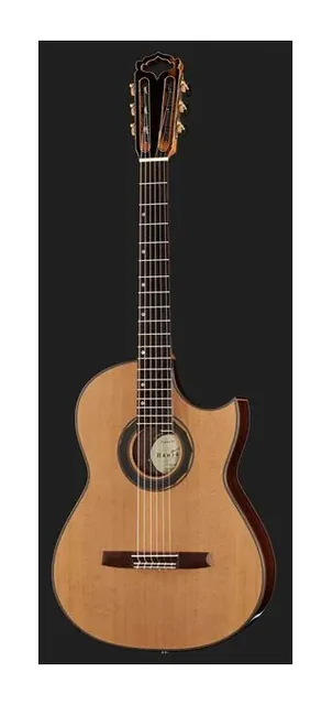 Hanika Fusion PC w/Pickup, fondo e fasce, scatto 2