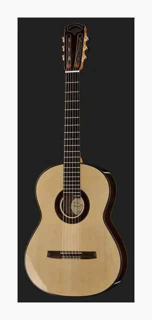 Hanika HE-Torres Ziricote/Spruce, fondo e fasce, scatto 2