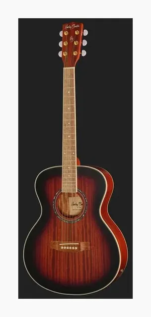 Harley Benton CG-45E Vintage Sunburst, buca e rosetta, scatto 2