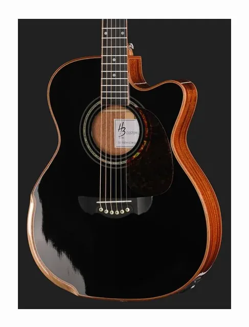 Harley Benton CLC-650SM-CE BK Solid Wood, paletta e meccaniche, scatto 4