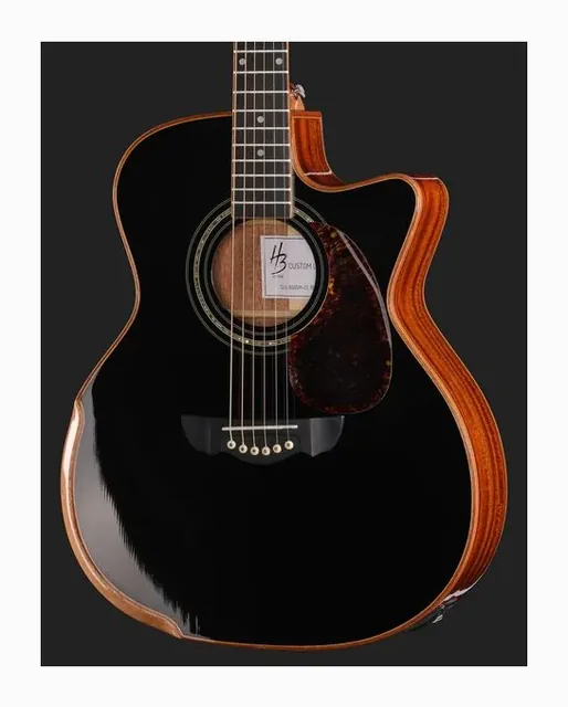 Harley Benton CLG-650SM-CE BK SolidWood, fondo e fasce, scatto 4