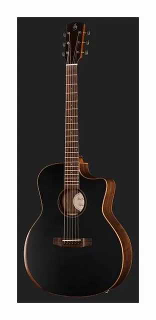 Harley Benton CLG-70ASR CE SBK AllSolid, paletta e meccaniche, scatto 2
