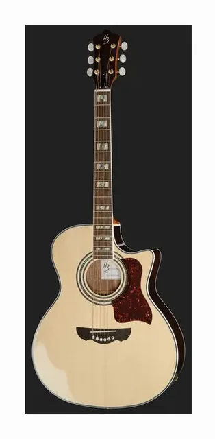 Harley Benton CLJ-503CE WN, tastiera e capotasto, scatto 2