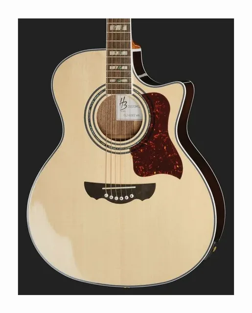 Harley Benton CLJ-503CE WN, buca e rosetta, scatto 4