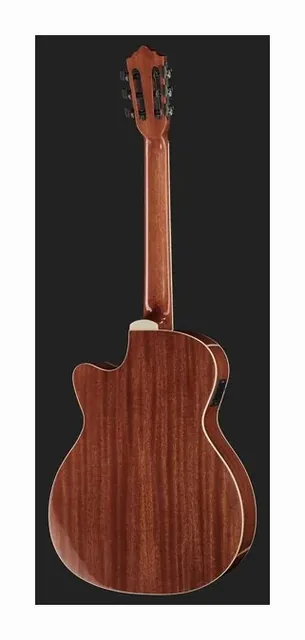 Harley Benton Santos Series C-40SCE N w/Bag, buca e rosetta, scatto 2
