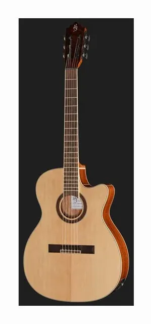 Harley Benton Santos Series C-40SCE NT, tastiera e capotasto, scatto 2