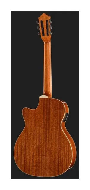 Harley Benton Santos Series C-40SCE NT, buca e rosetta, scatto 3