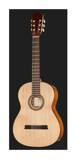 Höfner HF16 Classical w/GigBag, fondo e fasce, scatto 2