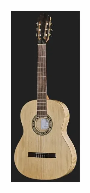 Höfner HLE-EBF26 Classical Limited, buca e rosetta, scatto 2