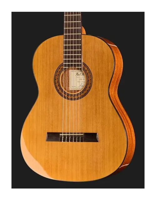 Höfner HZ25, tastiera e capotasto, scatto 4