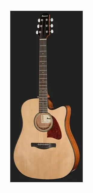 Ibanez AAD51CE-NT, ponte e selletta, scatto 2