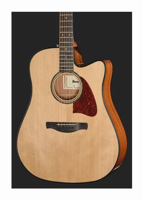 Ibanez AAD51CE-NT, paletta e meccaniche, scatto 4