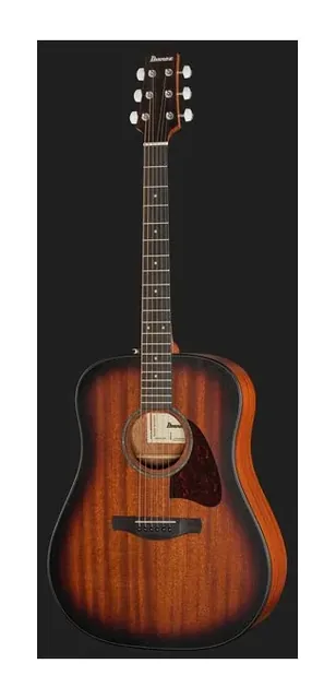 Ibanez AAD54E-OMH, ponte e selletta, scatto 2